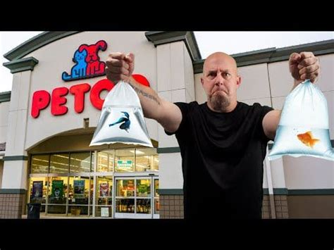 YES You CAN Buy These Top 10 Fish At PETSMART or PETCO!!.